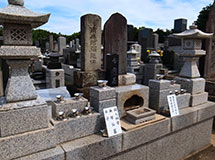 合同墓(永代供養墓)